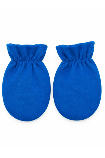 Blue Wave Paws