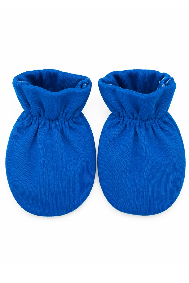 Blue Wave Paws