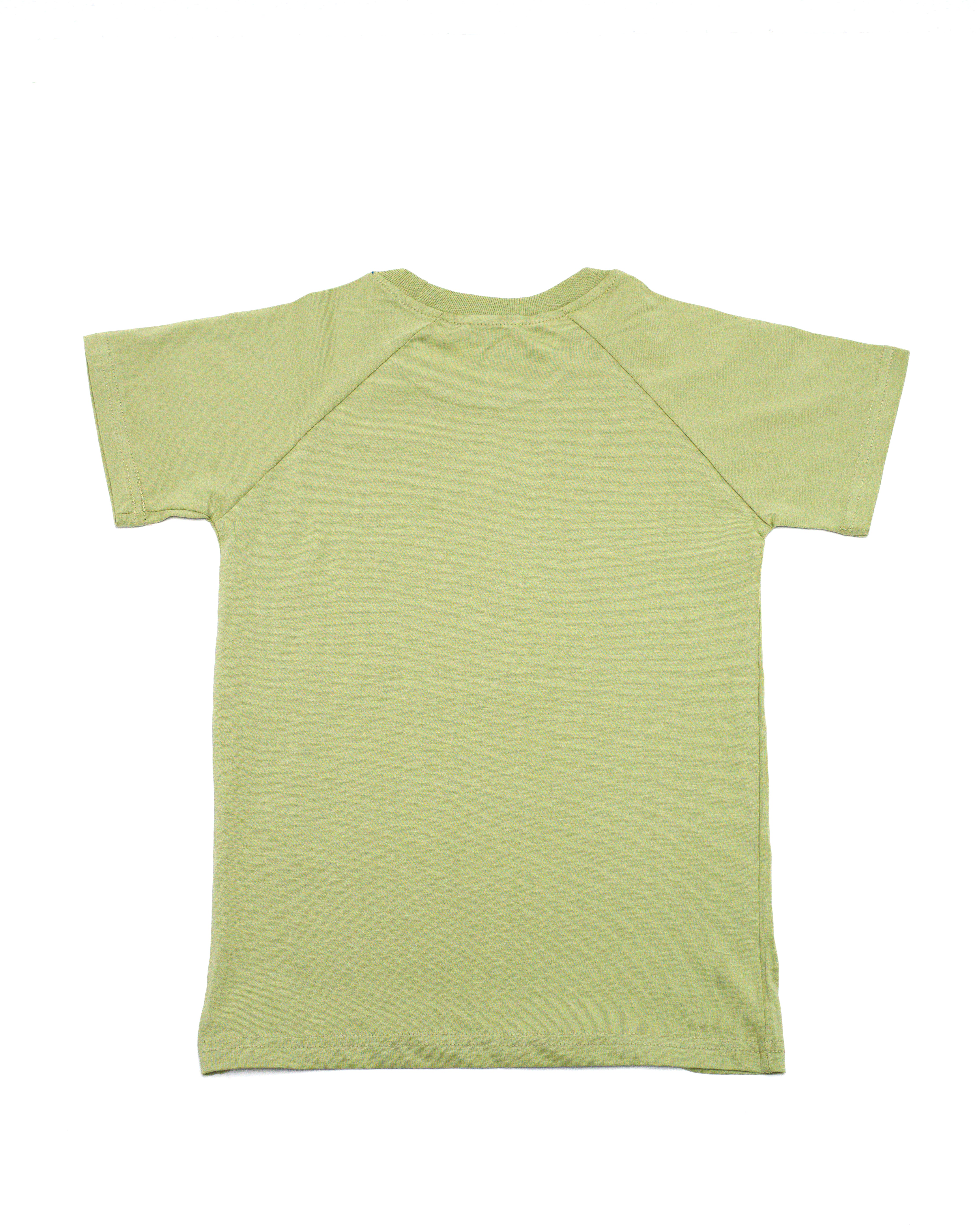 GENERIC Reglan Olive