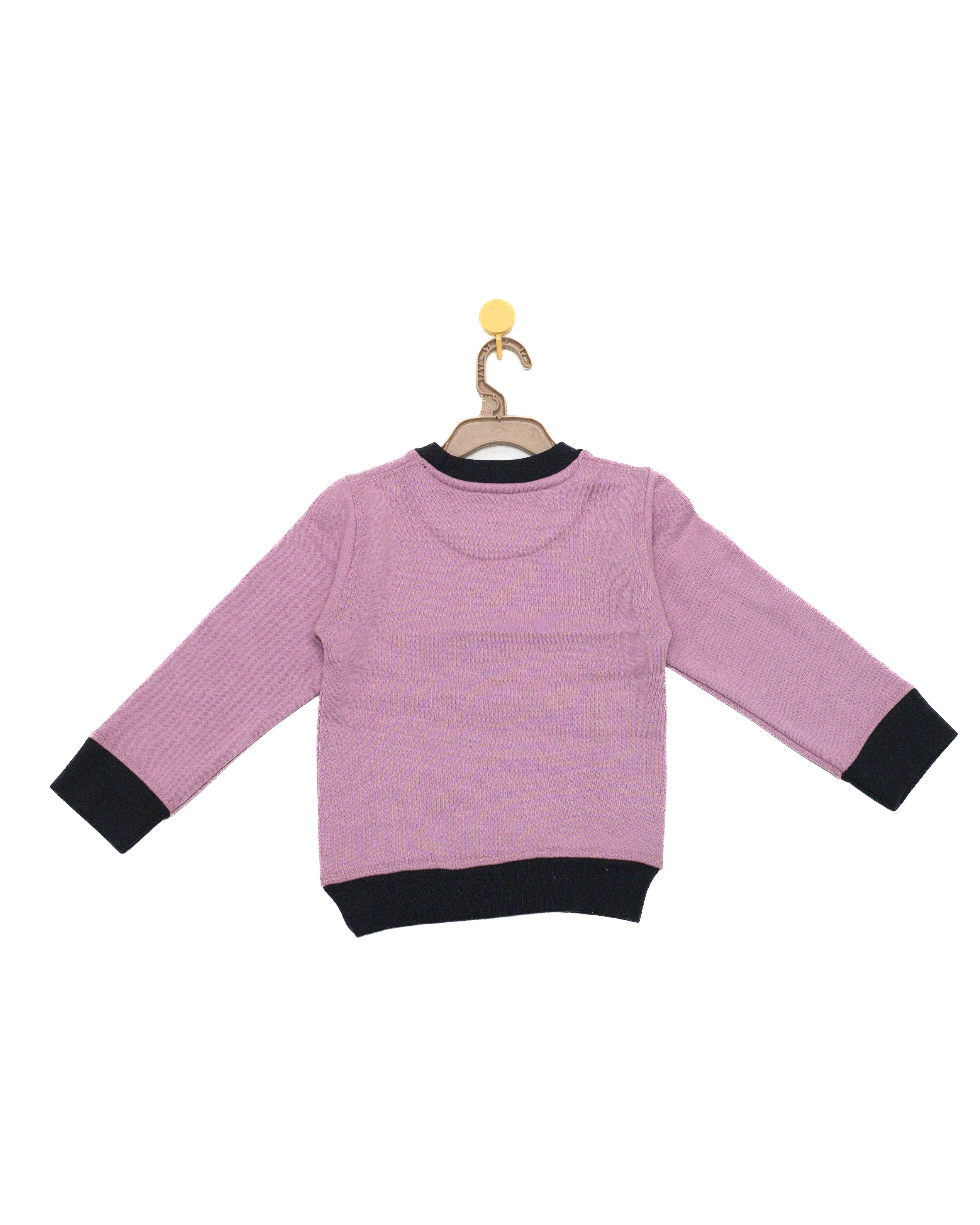Ek Kawwa Piyasa Round Neck Sweatshirt - Mauve