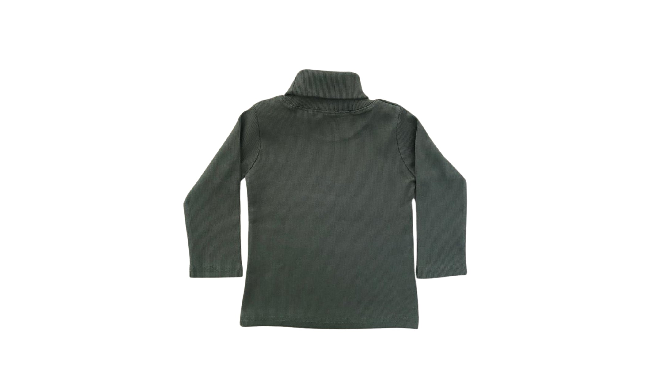 Billi Ke Bachon Ke Mozay Turtle Neck Sweatshirt - Green