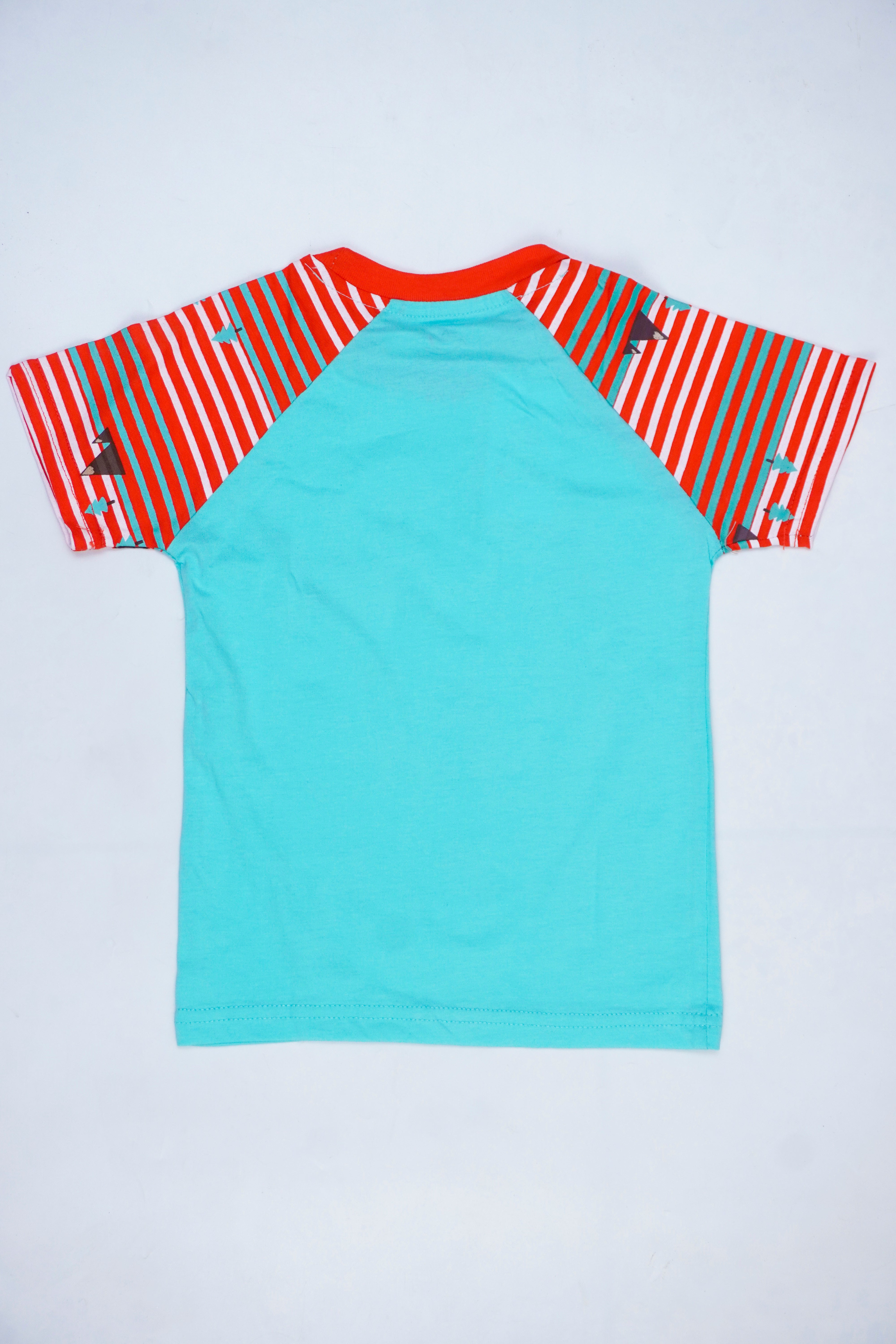Raglan Graphic T-Shirt