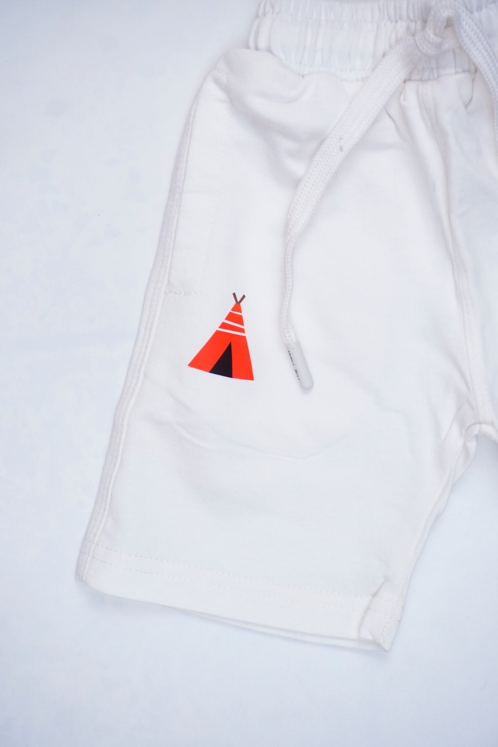 Adventure Begins Short