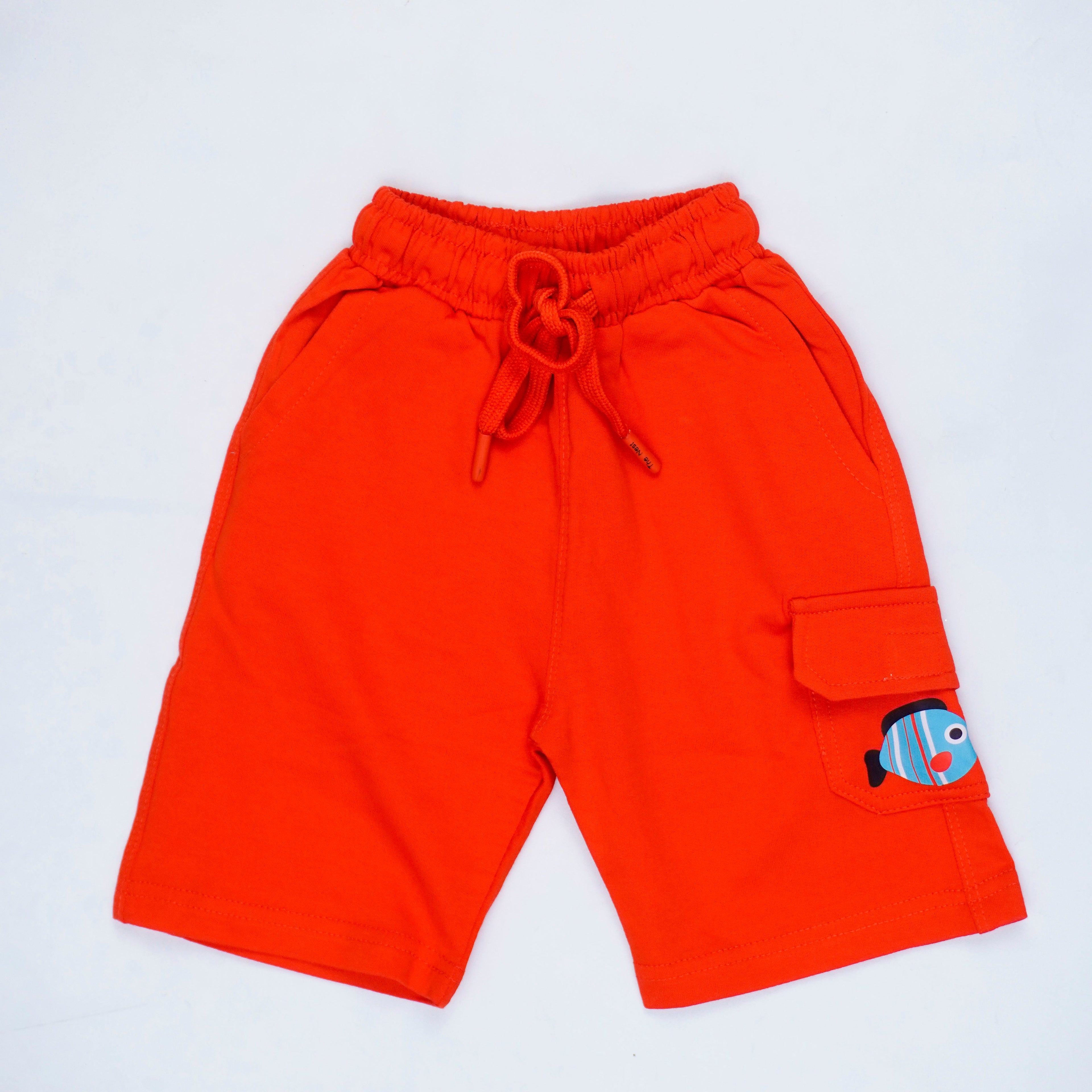 Adventure Begins Short