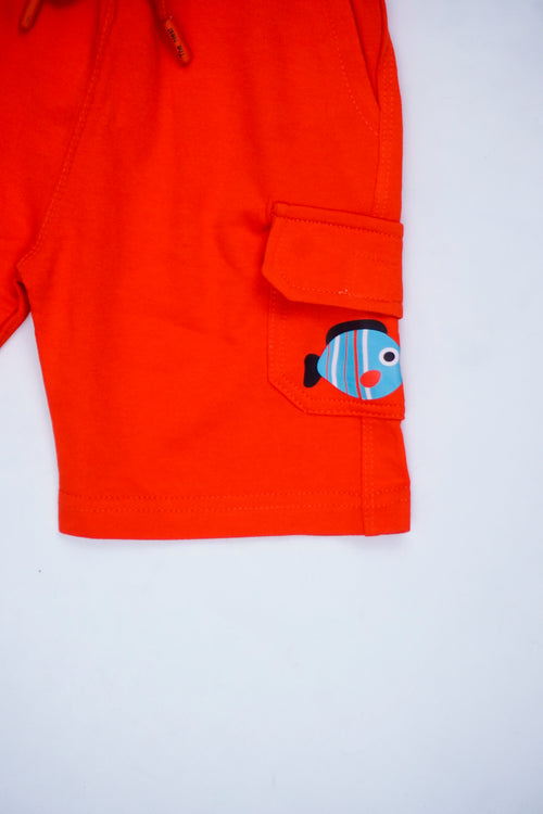 Adventure Begins Short