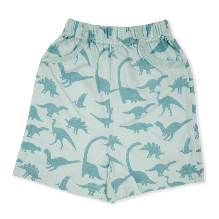 Roar into style shorts Pack of 3