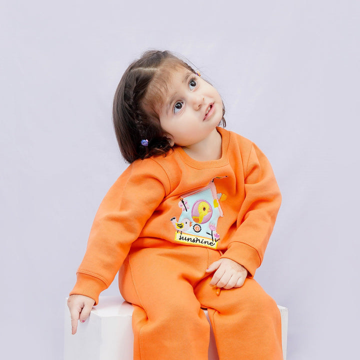 Birdhouse Orange Sweatshirt