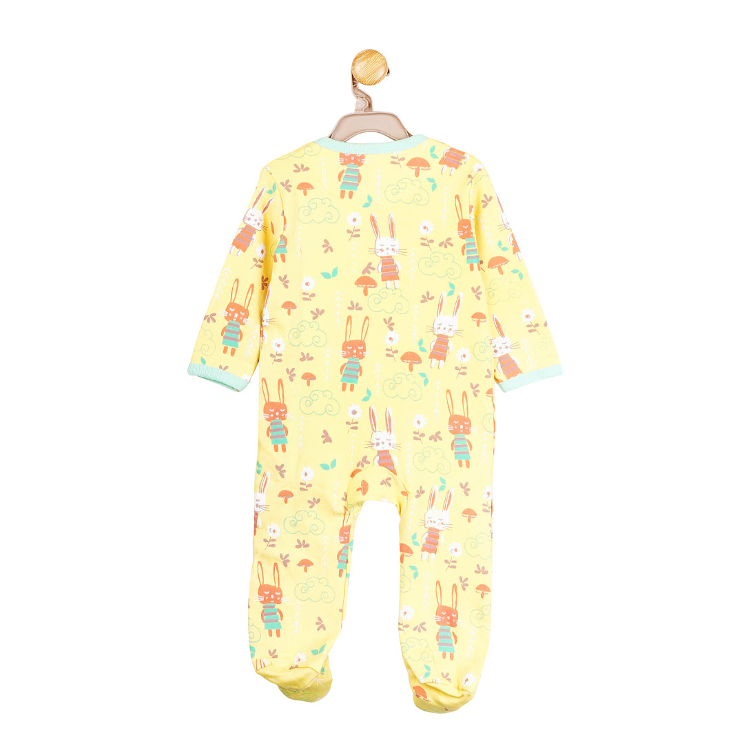 Hunny bunny footed onesie