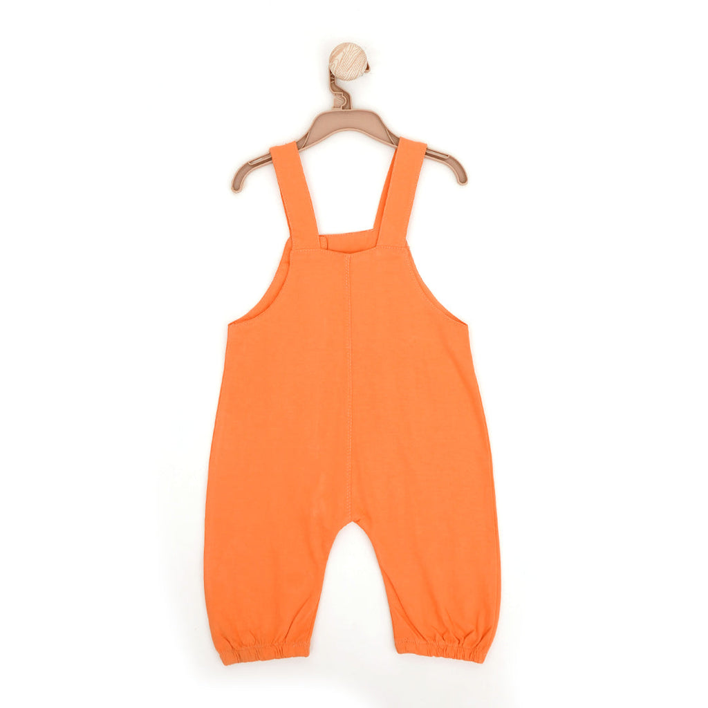 Retro Baby Onesie Dungaree