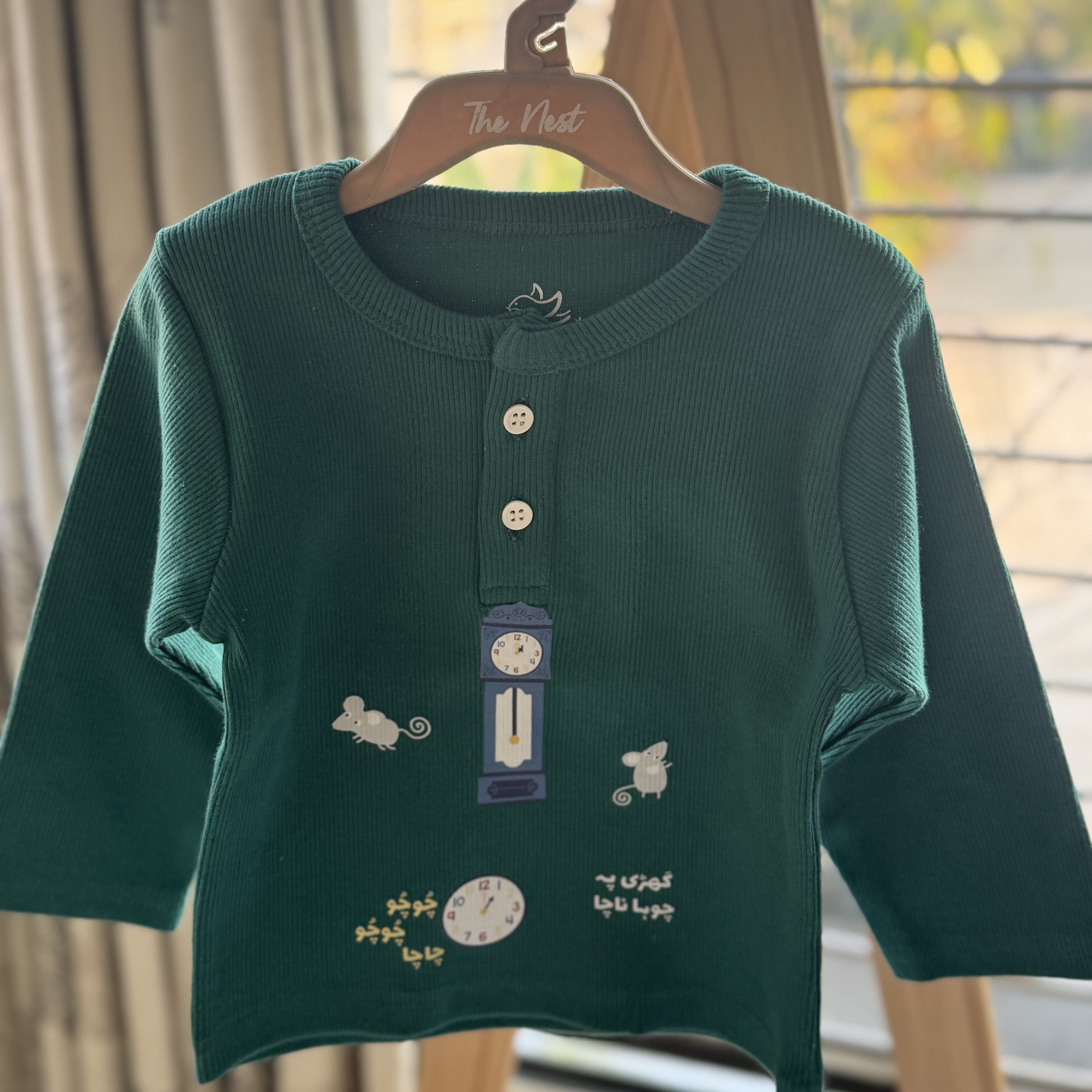 Ghari Pe Chooha Nacha Henley Sweatshirt - Jade Green