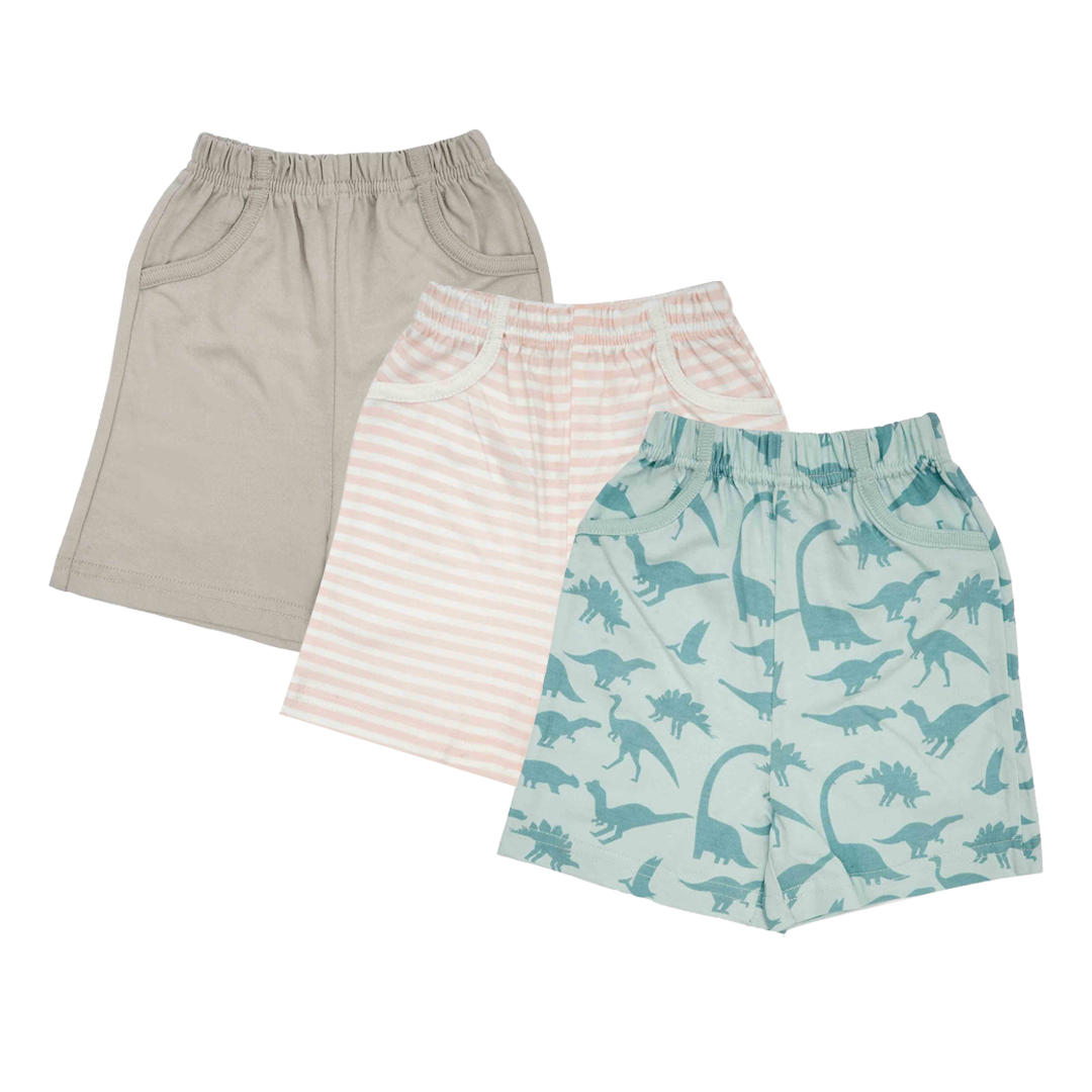 Roar into style shorts Pack of 3